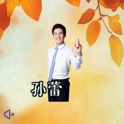 孙蕾